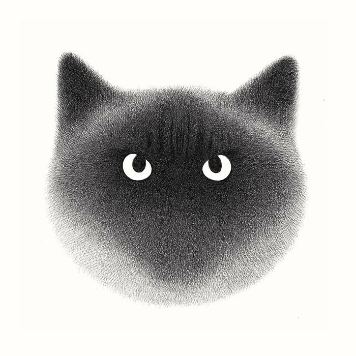 Kamwei Fong's Cute Cats (New Pics)