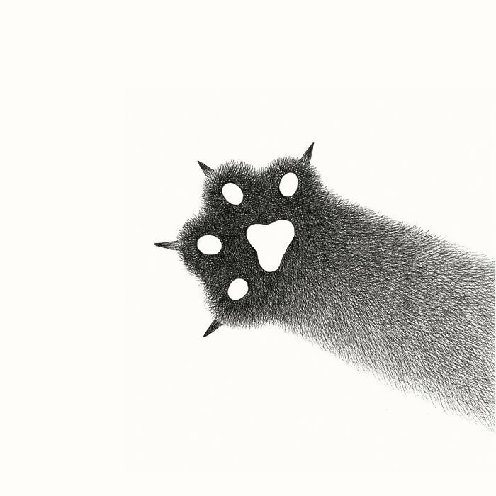 Kamwei Fong's Cute Cats (New Pics)