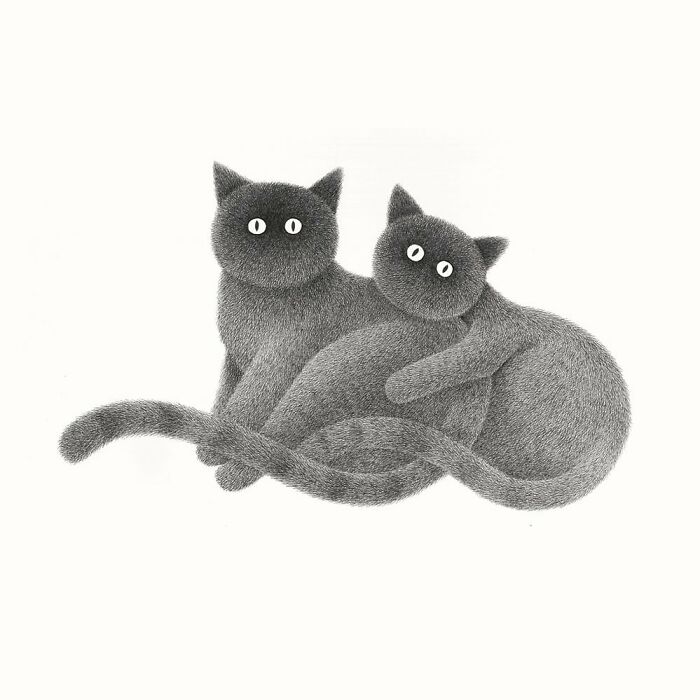 Kamwei Fong's Cute Cats (New Pics)