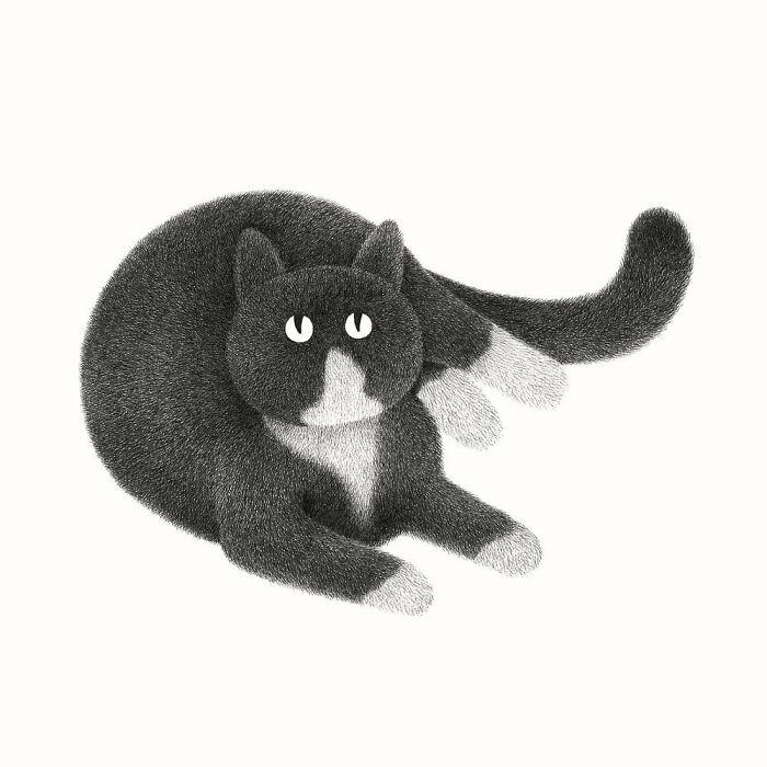 Kamwei Fong's Cute Cats (New Pics)