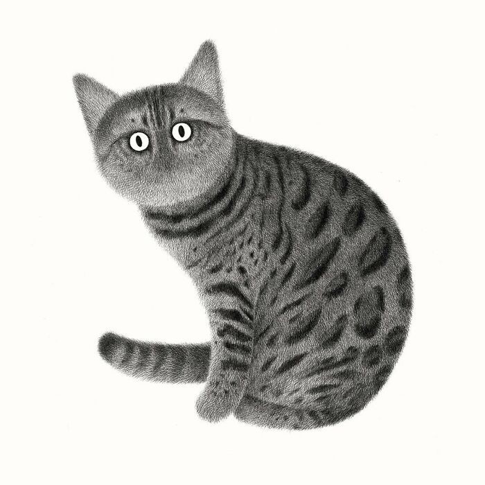 Kamwei Fong's Cute Cats (New Pics)