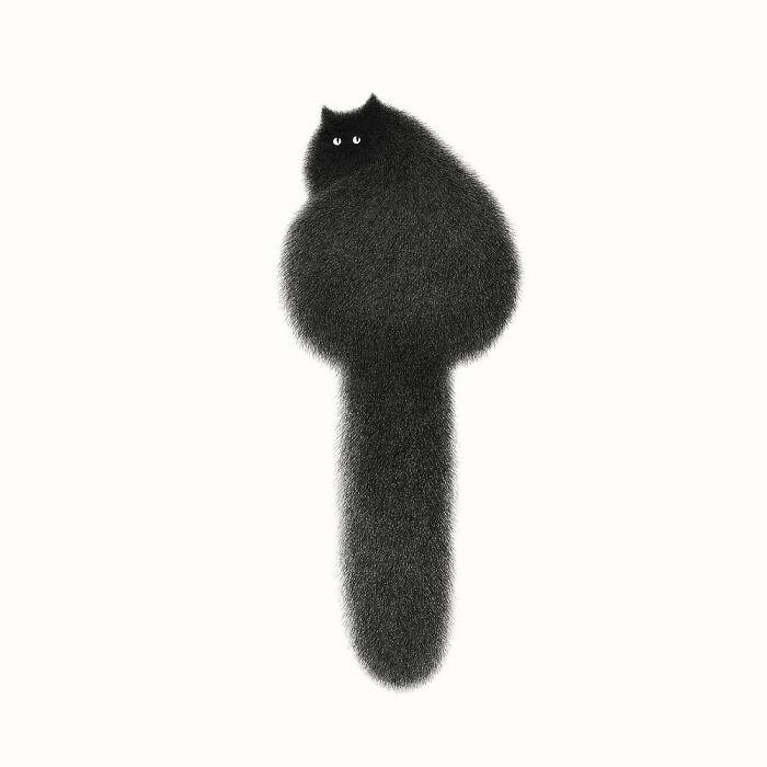 Kamwei Fong's Cute Cats (New Pics)