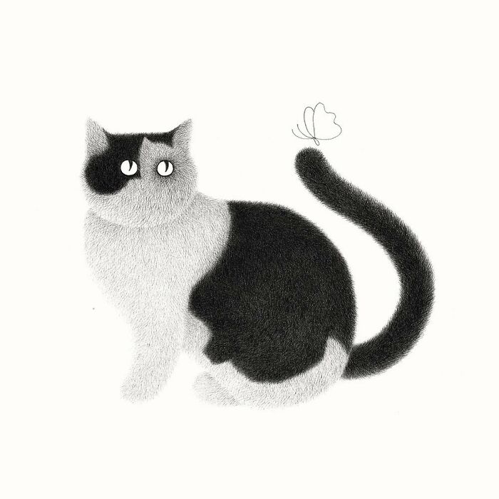 Kamwei Fong's Cute Cats (New Pics)