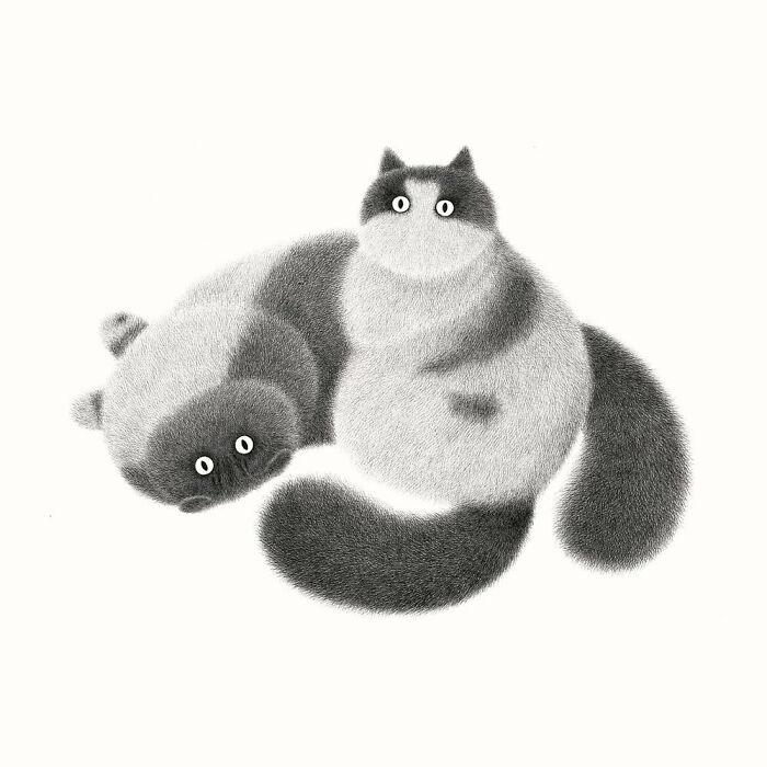 Kamwei Fong's Cute Cats (New Pics)