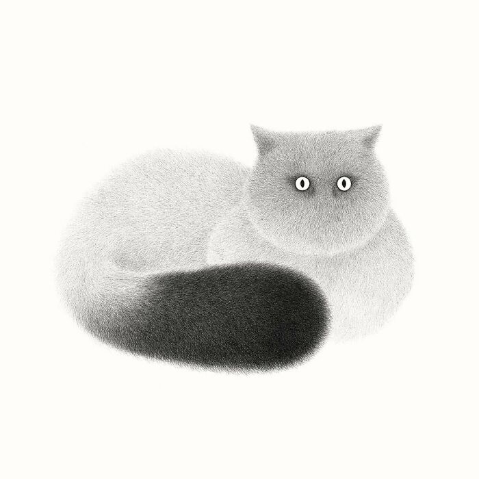 Kamwei Fong's Cute Cats (New Pics)