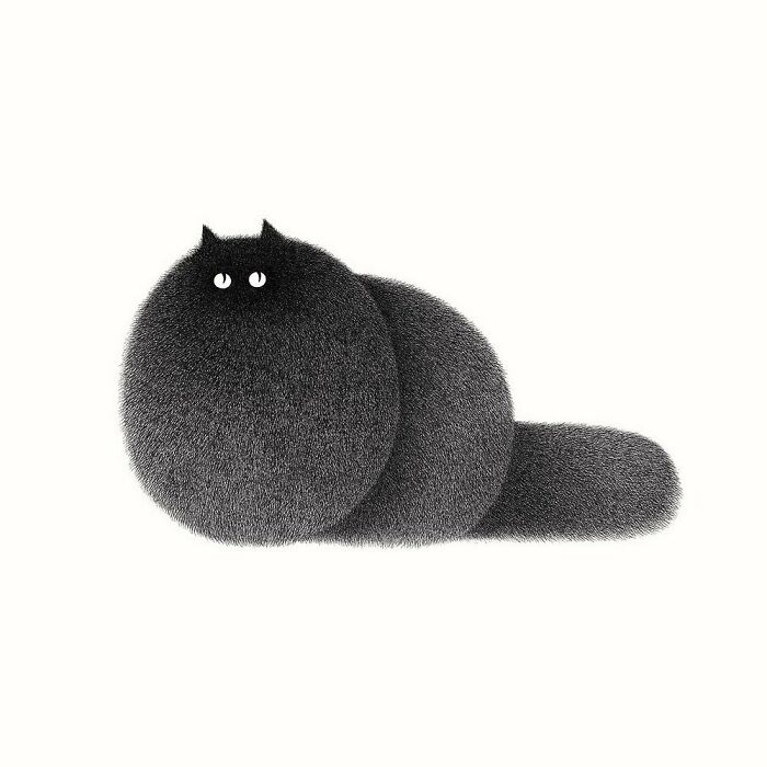 Kamwei Fong's Cute Cats (New Pics)