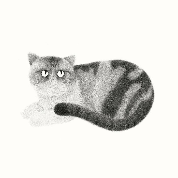 Kamwei Fong's Cute Cats (New Pics)