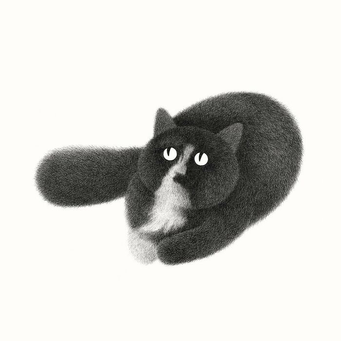 Kamwei Fong's Cute Cats (New Pics)