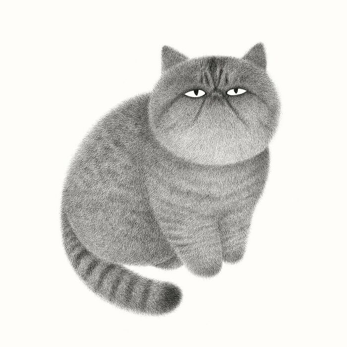 Kamwei Fong's Cute Cats (New Pics)