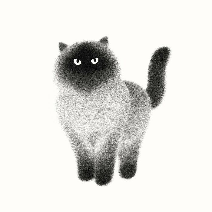 Kamwei Fong's Cute Cats (New Pics)