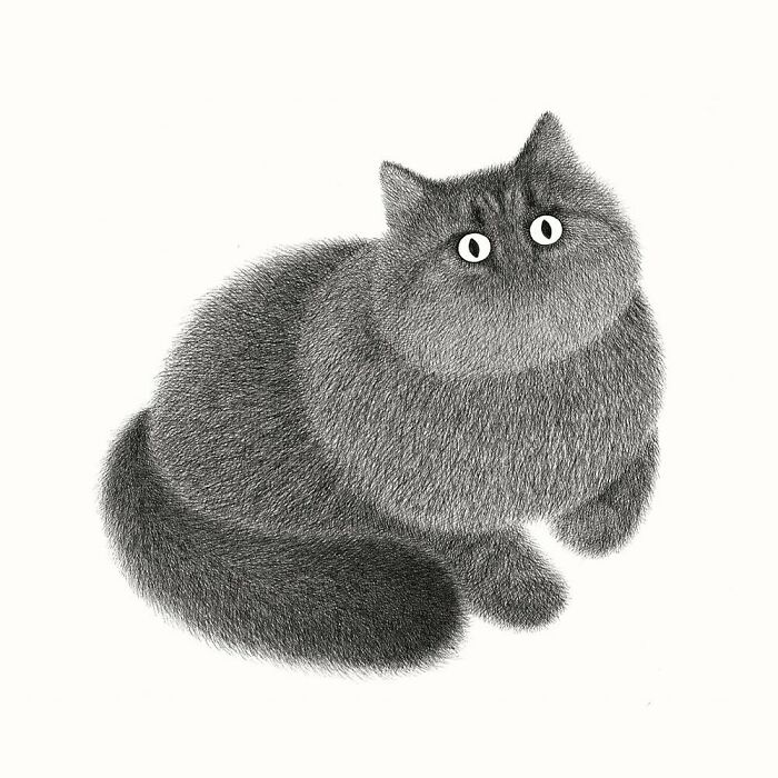 Kamwei Fong's Cute Cats (New Pics)