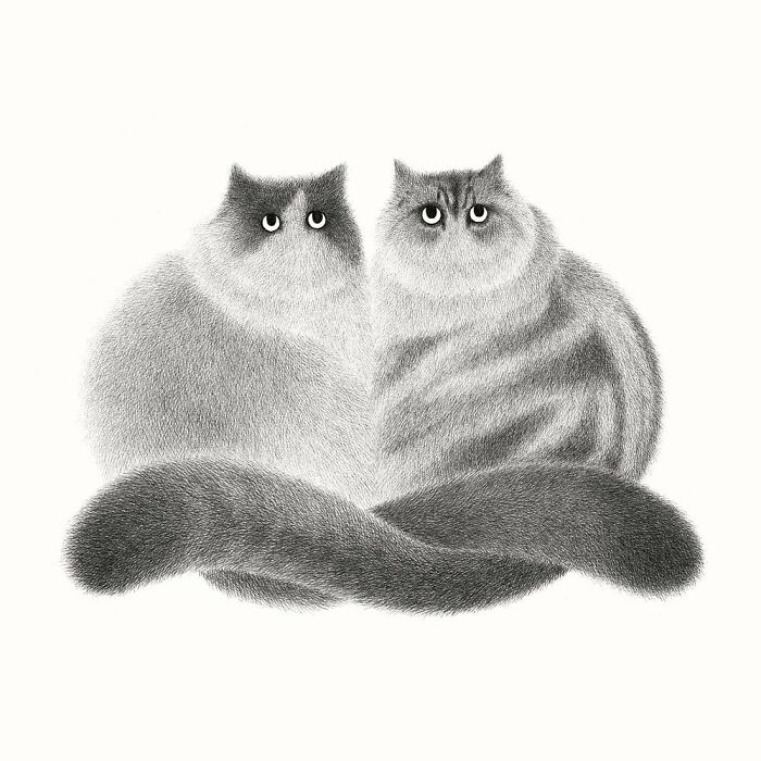 Kamwei Fong's Cute Cats (New Pics)