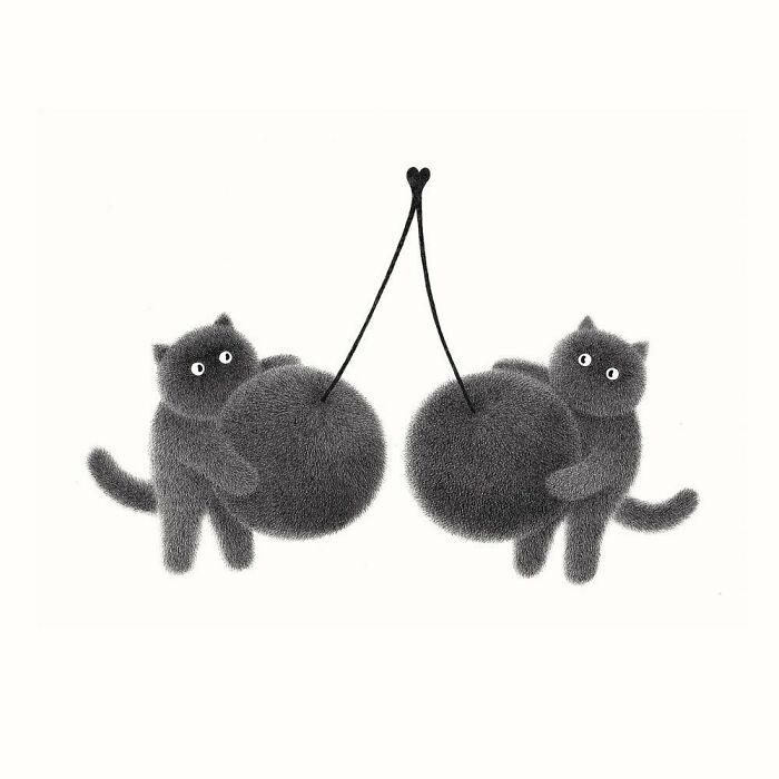 Kamwei Fong's Cute Cats (New Pics)