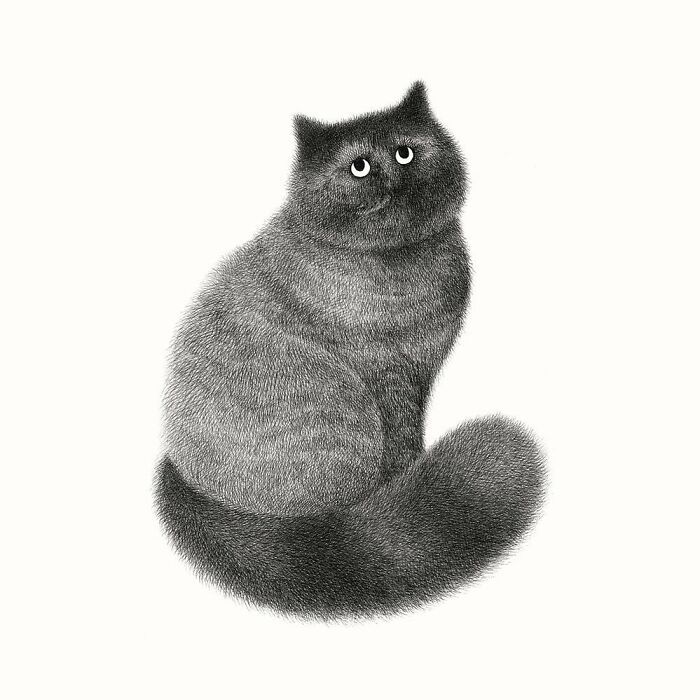 Kamwei Fong's Cute Cats (New Pics)