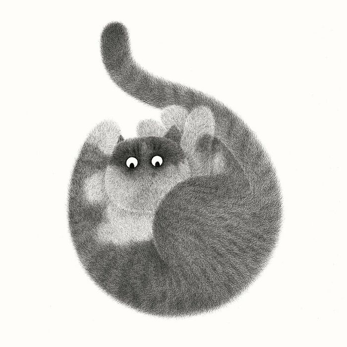 Kamwei Fong's Cute Cats (New Pics)