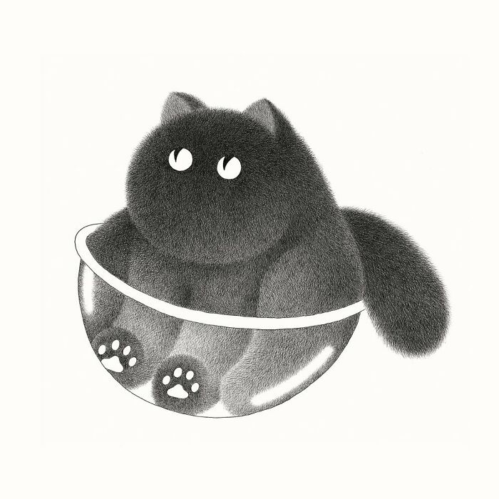 Kamwei Fong's Cute Cats (New Pics)