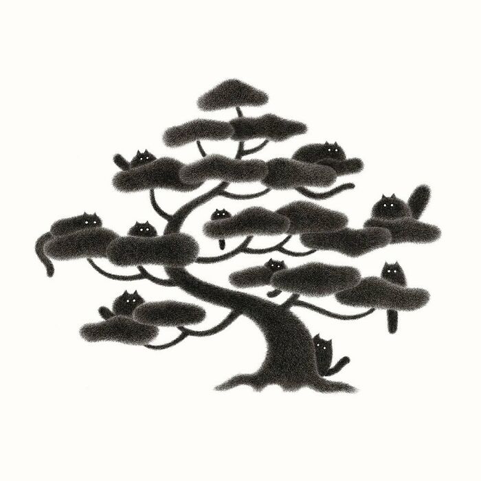 Kamwei Fong's Cute Cats (New Pics)