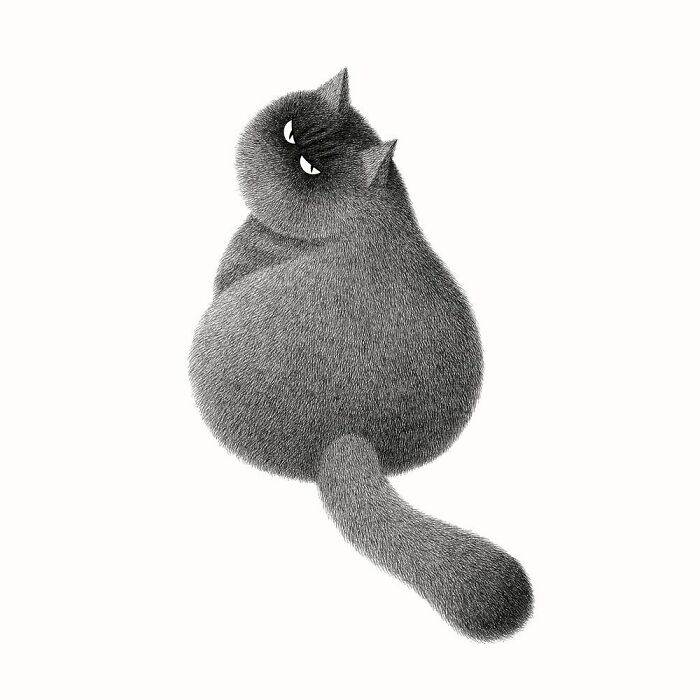 Kamwei Fong's Cute Cats (New Pics)