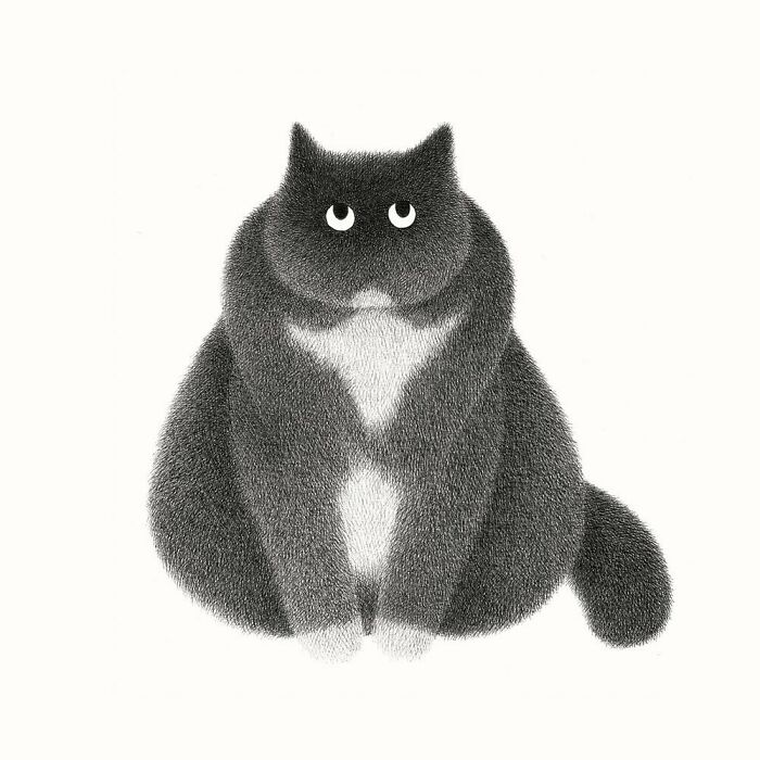 Kamwei Fong's Cute Cats (New Pics)