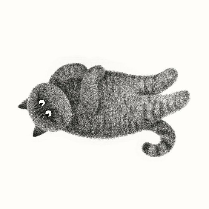 Kamwei Fong's Cute Cats (New Pics)