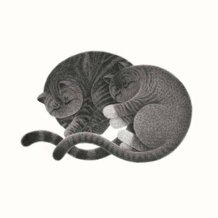 Kamwei Fong's Cute Cats (New Pics)