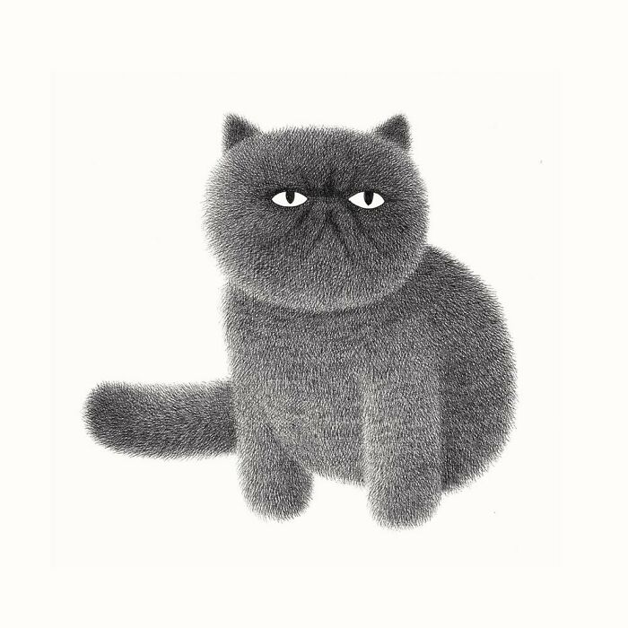 Kamwei Fong's Cute Cats (New Pics)
