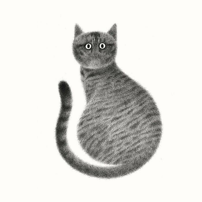 Kamwei Fong's Cute Cats (New Pics)