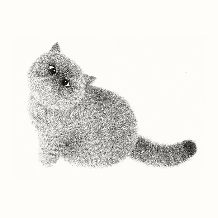 Kamwei Fong's Cute Cats (New Pics)