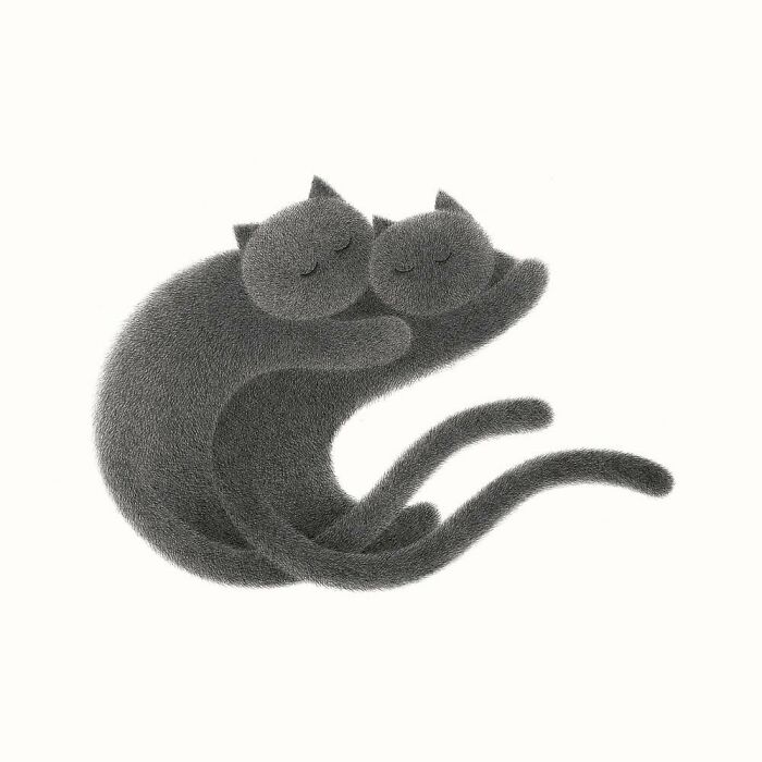Kamwei Fong's Cute Cats (New Pics)