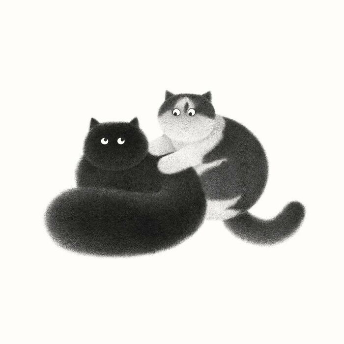 Kamwei Fong's Cute Cats (New Pics)