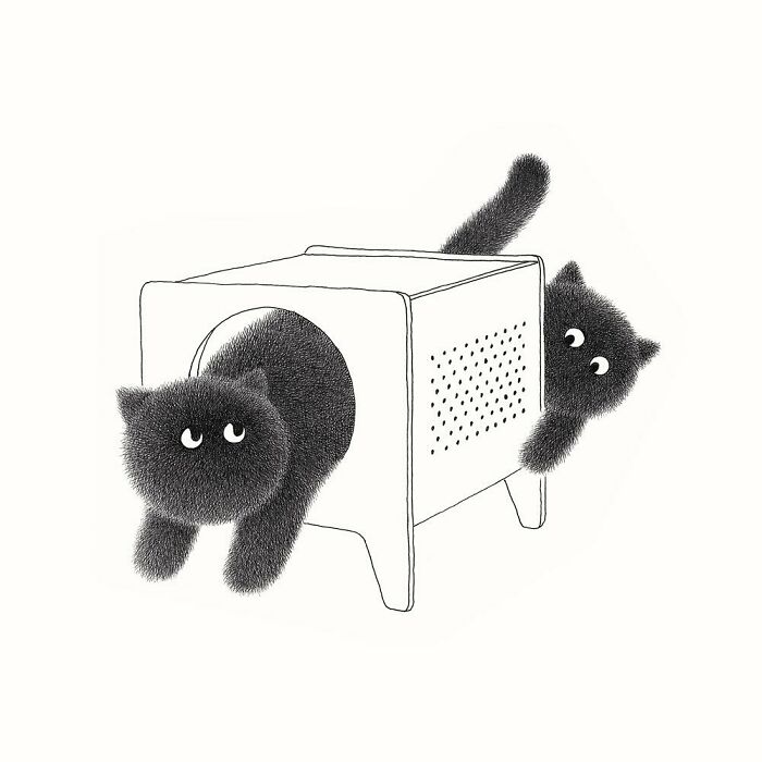 Kamwei Fong's Cute Cats (New Pics)