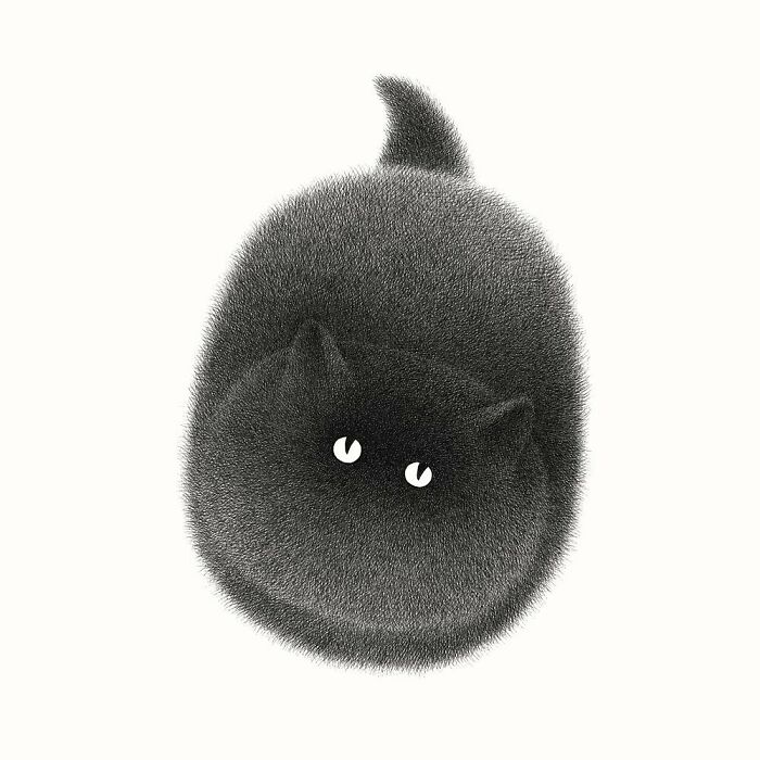 Kamwei Fong's Cute Cats (New Pics)