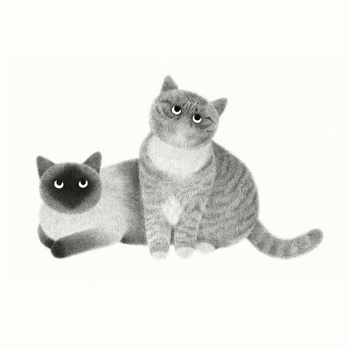 Kamwei Fong's Cute Cats (New Pics)