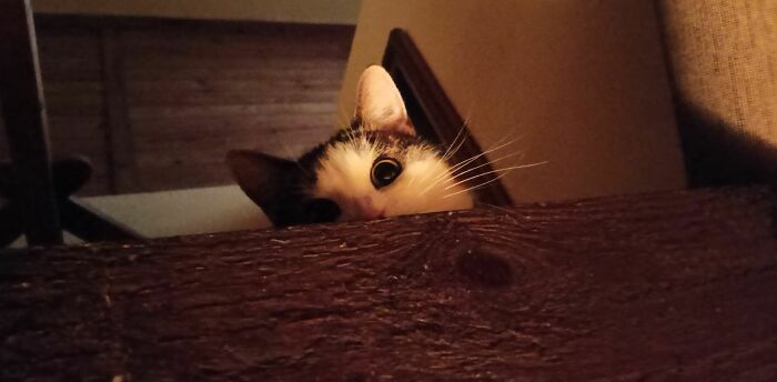 I See You... Always... Wherever You Go