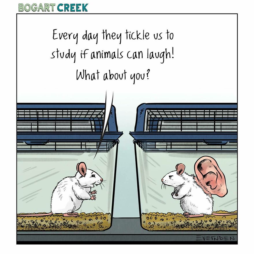 Meet Derek Evernden's Funny Single-Panel Comics (New Pics)