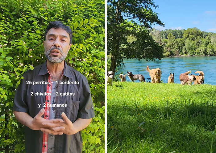 A Couple And Their 31 Four-Legged Family Members Found A Home After Their Video Asking For Help Went Viral