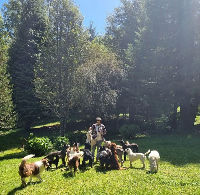 A Couple And Their 31 Four-Legged Family Members Found A Home After Their Video Asking For Help Went Viral