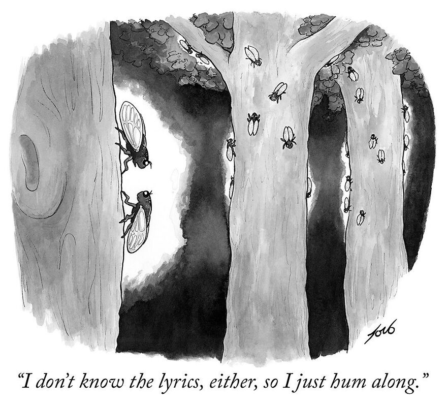 Meet Tom Toro's Fun Single-Panel Comics