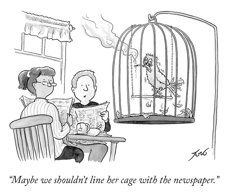 Meet Tom Toro's Fun Single-Panel Comics