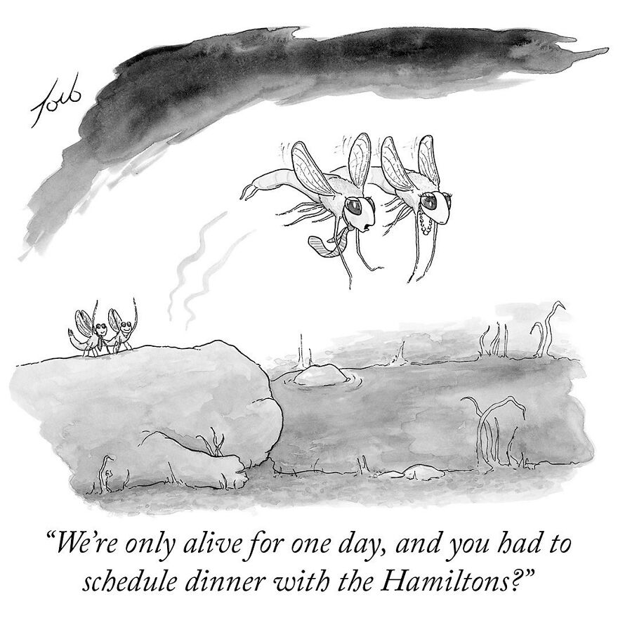 Meet Tom Toro's Fun Single-Panel Comics