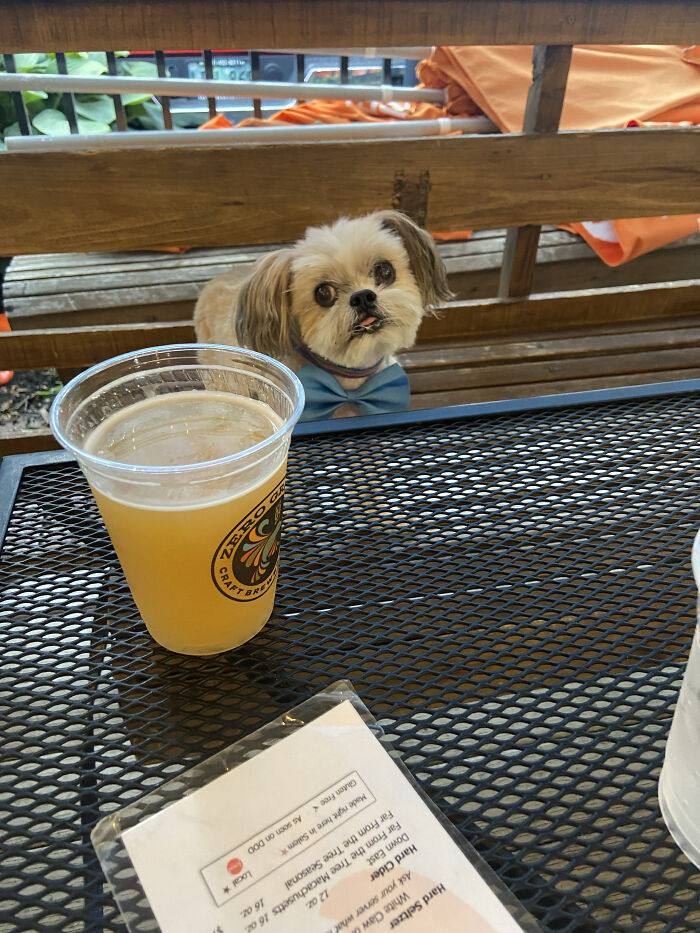 Oliver At The Lobster Shanty, Salem, Ma