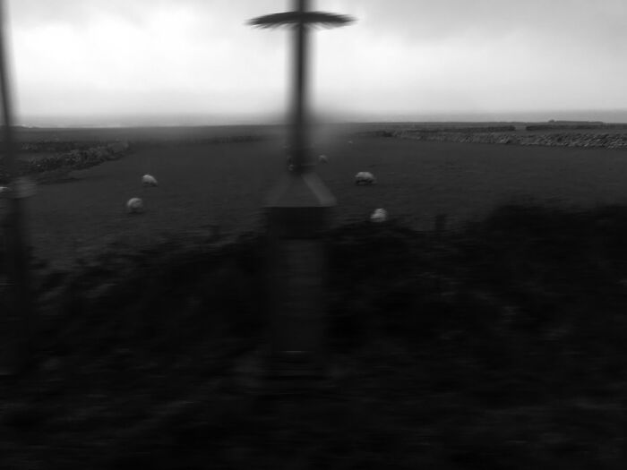 In The Waning Days Of Winter, We Made A Pilgrimage To Say Goodbye To Our Beautiful Dog (10 Pics) In The Waning Days Of Winter, We Made A Pilgrimage To Say Goodbye To Our Beautiful Dog (10 Pics)