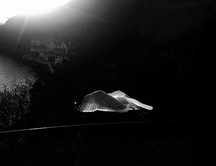 In The Waning Days Of Winter, We Made A Pilgrimage To Say Goodbye To Our Beautiful Dog (10 Pics) In The Waning Days Of Winter, We Made A Pilgrimage To Say Goodbye To Our Beautiful Dog (10 Pics)