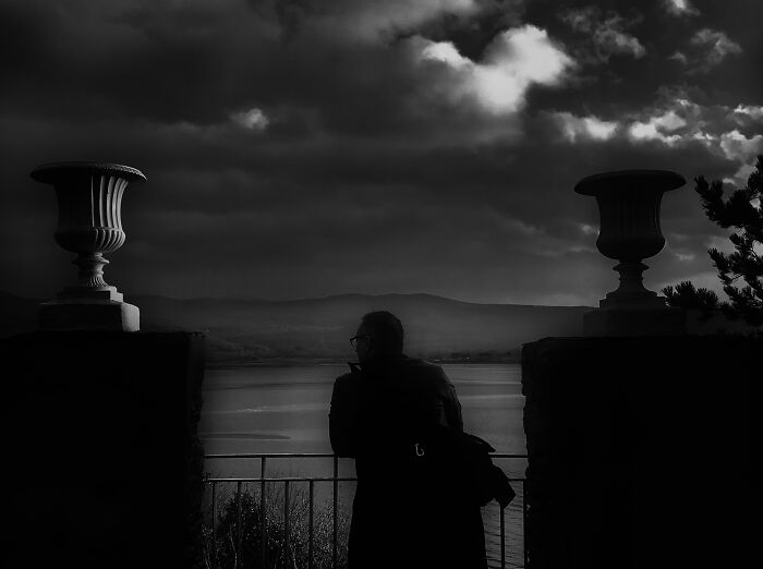 In The Waning Days Of Winter, We Made A Pilgrimage To Say Goodbye To Our Beautiful Dog (10 Pics) In The Waning Days Of Winter, We Made A Pilgrimage To Say Goodbye To Our Beautiful Dog (10 Pics)