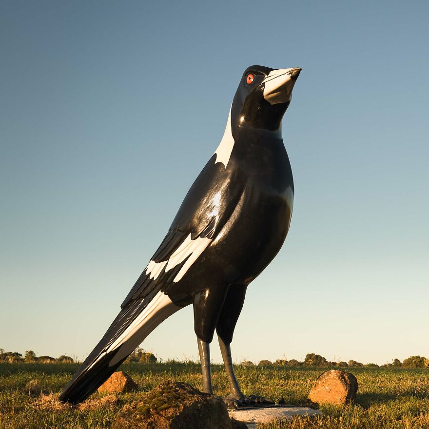 'riverside Magpie'
