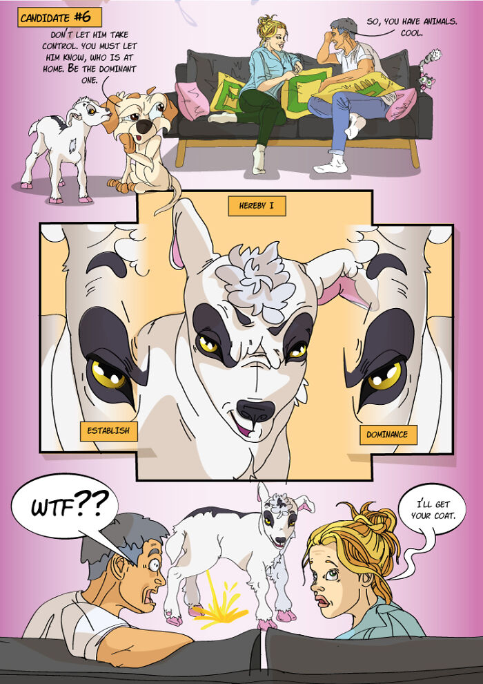 Sarcastic -But True- Comics About Dating As A Pet Owner, A.k.a A Crazy Pet Lady Part 1