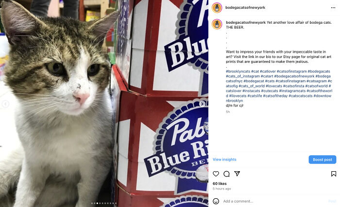 Bodega Cats Of New York