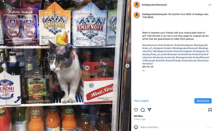 Bodega Cats Of New York