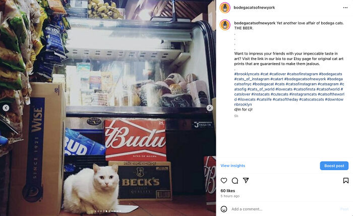 Bodega Cats Of New York