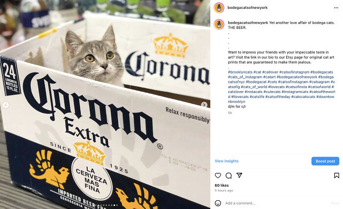 Bodega Cats Of New York